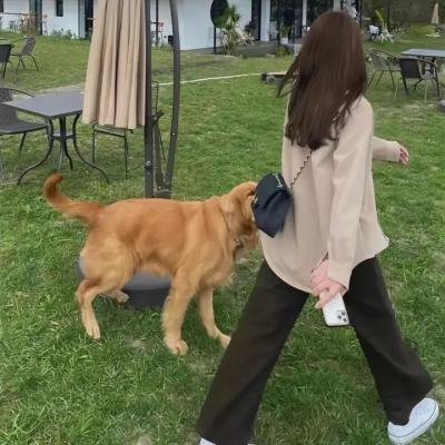 红蝎子之带泪梨花