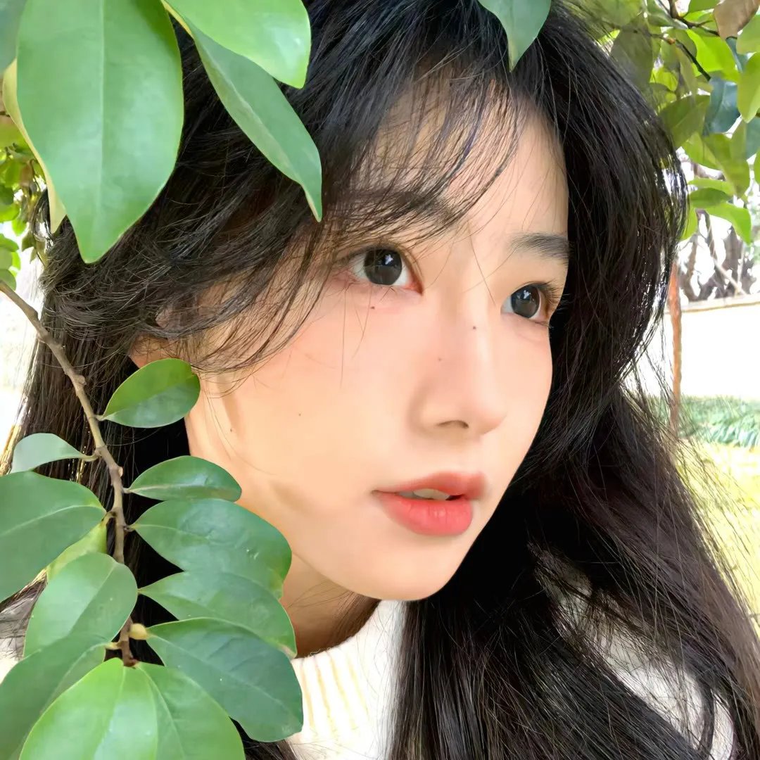 傻瓜们的行进
